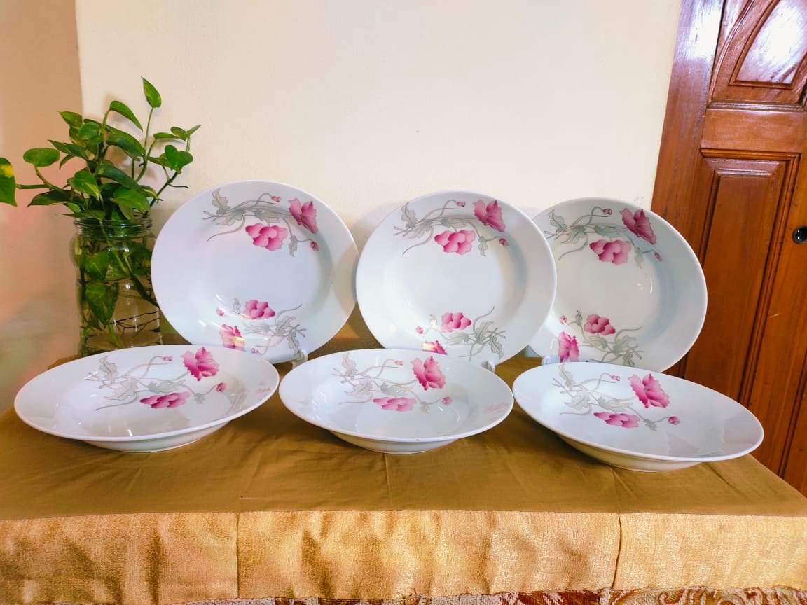 2-Piece Ceramic Dinner Plate Set White With Full Body Flower Print 9 Inch - Elevate Your Dining Experience With This Set Of Two Ceramic Dinner Plates Featuring A Charming Flower Print Design. 