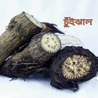 Chui Jhal - 250Gm (Piper Chaba). 