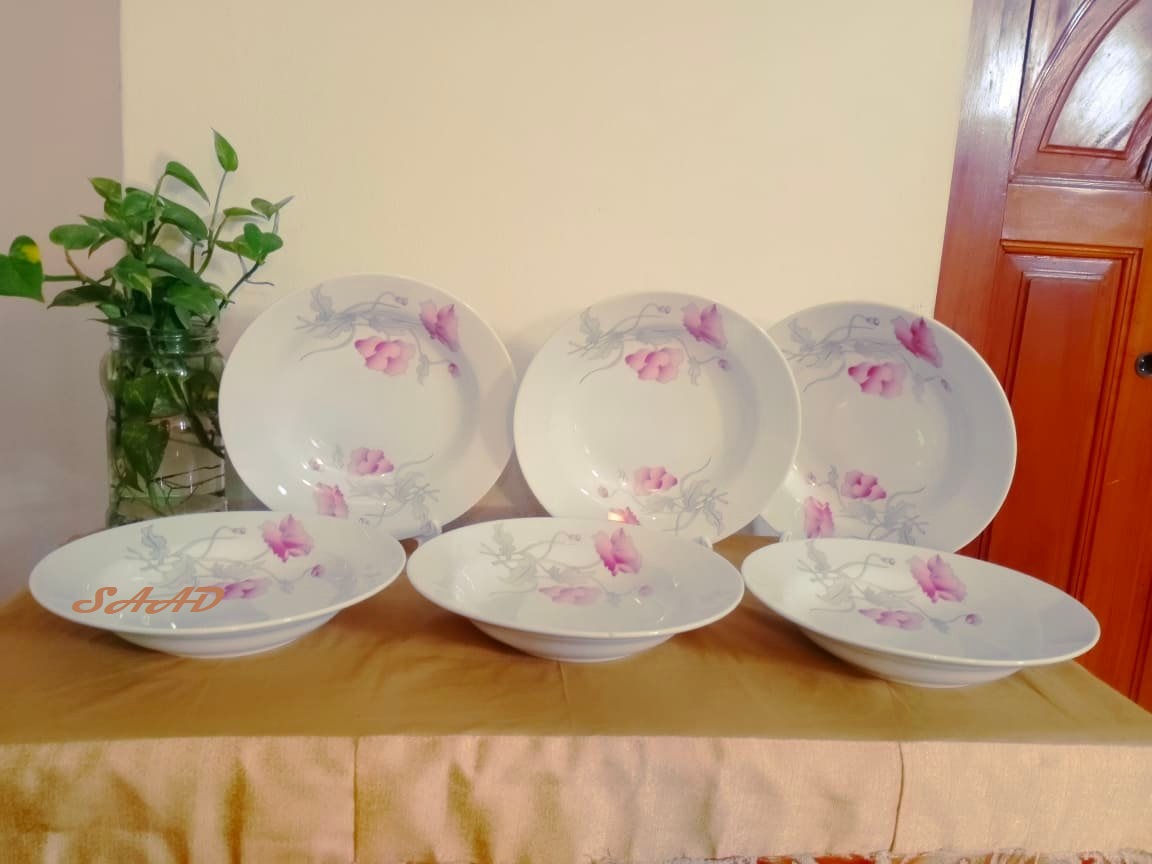 2-Piece Ceramic Dinner Plate Set White With Full Body Flower Print 9 Inch - Elevate Your Dining Experience With This Set Of Two Ceramic Dinner Plates Featuring A Charming Flower Print Design. 