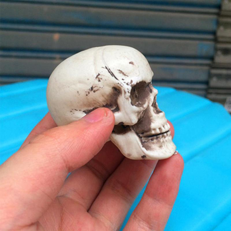 Halloween  Artificial Skull Head Model Skull Bone Scary Horror Skeleton Ornament. 