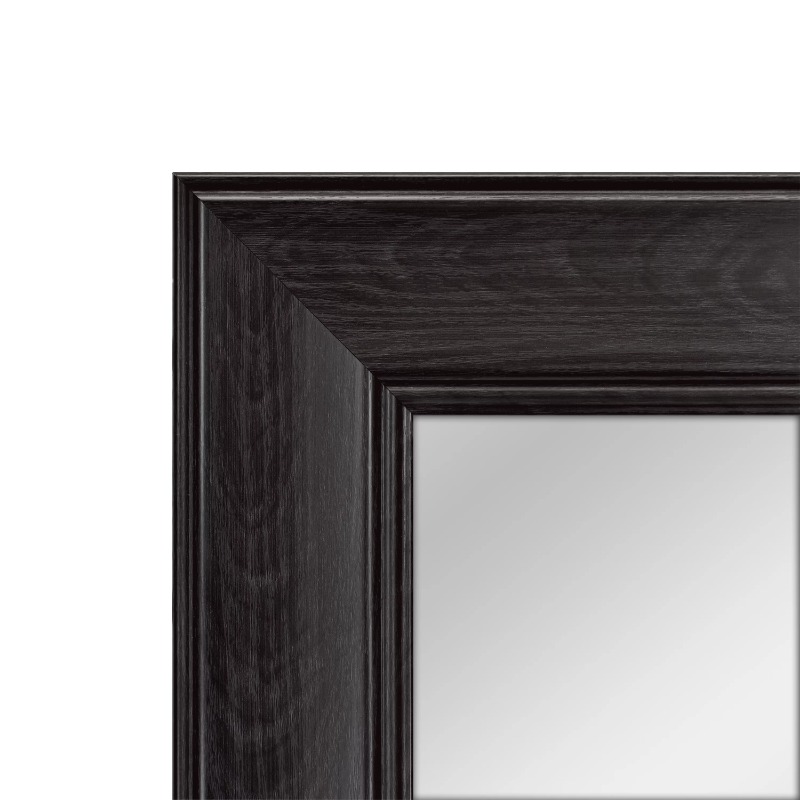 Over The Door Mirror Full Length Mirror,17X53IN Wall-Mounted Mirror, Rectangular Door Mirror Hanging with for Bedroom,Bathroom. 