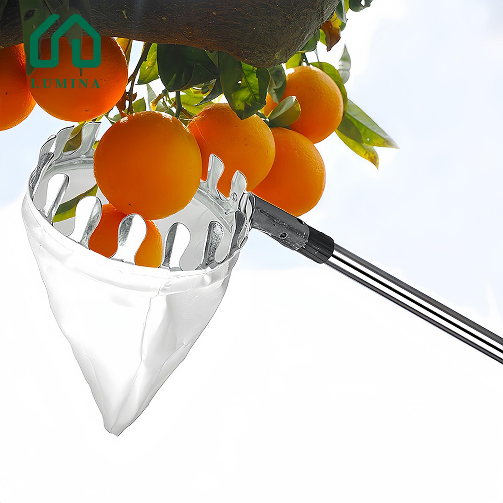 Lumina Stainless Steel Fruit Picking Pole Extendable Fruit Picker Pole with Storage Bag Ideal for Harvesting Fruits Like Mango Lemon Orange More Perfect for Home Gardening Orchard Use Grabber Tool for Twist. 