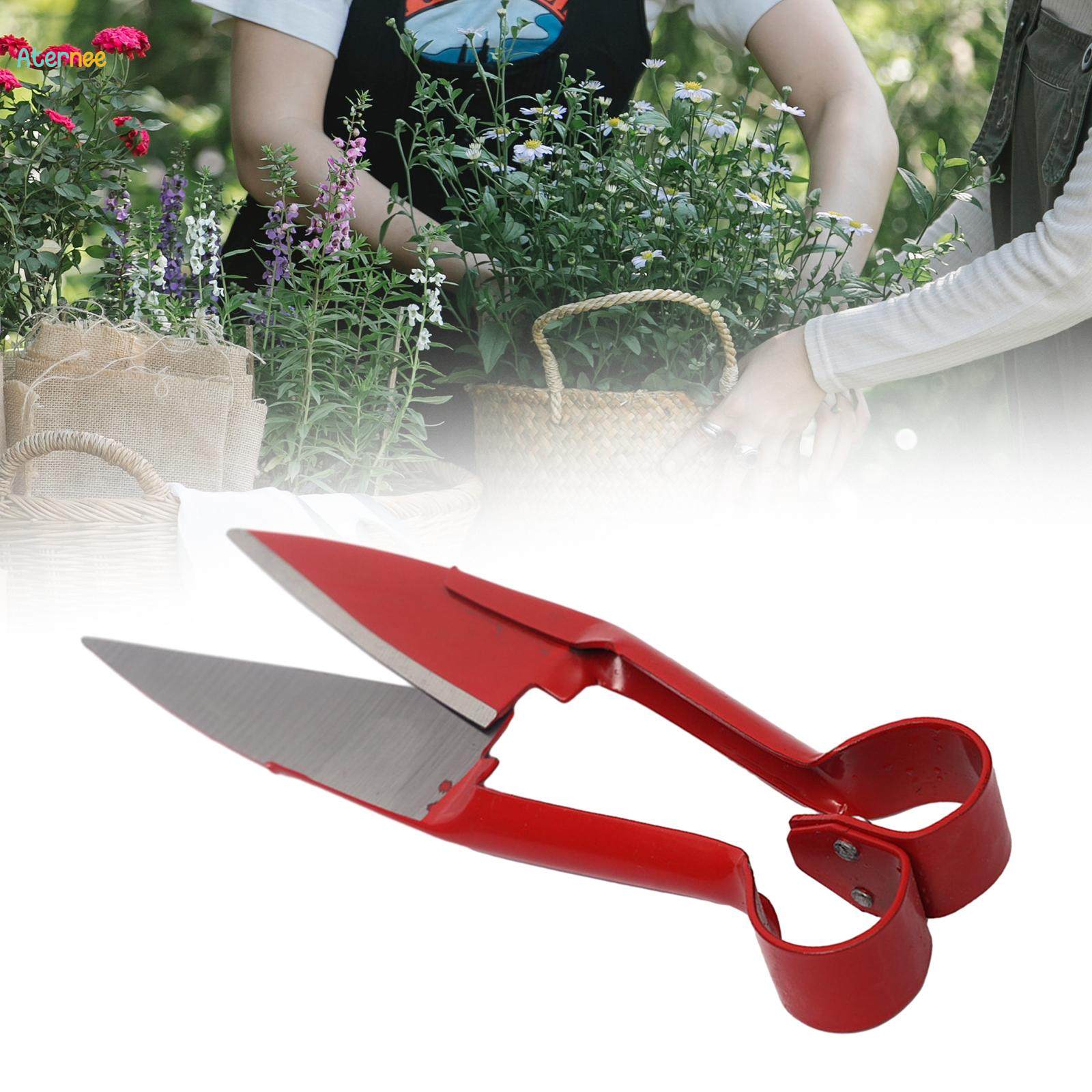 Garden Pruning Shear, Alpaca Shear, 10.24'' Gardening Gadget Nonslip Multipurpose Garden Prune Hand Pruning Shear for Park Bonsai Farm Home