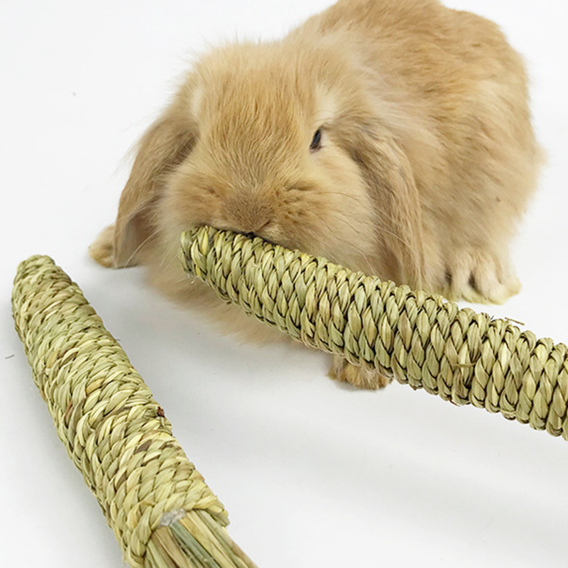 Rabbit Chew Toys Grass Woven Natural Rabbit Chew Carrot Rabbit Chew Sticks Sunlight Mall. 