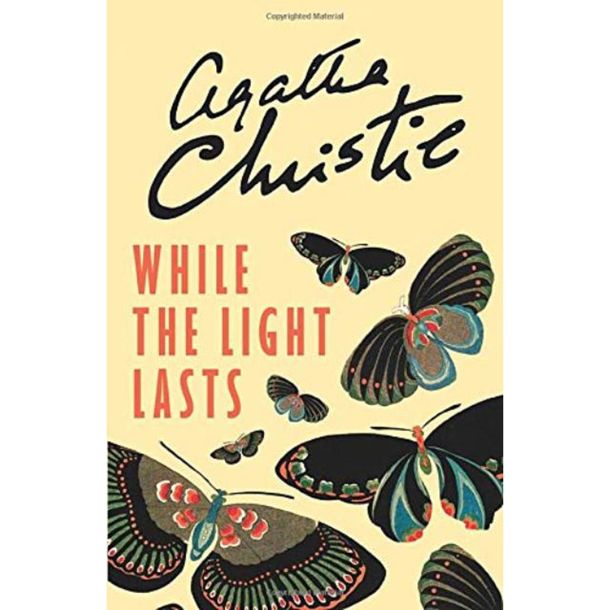 While The Light Lasts Paperback