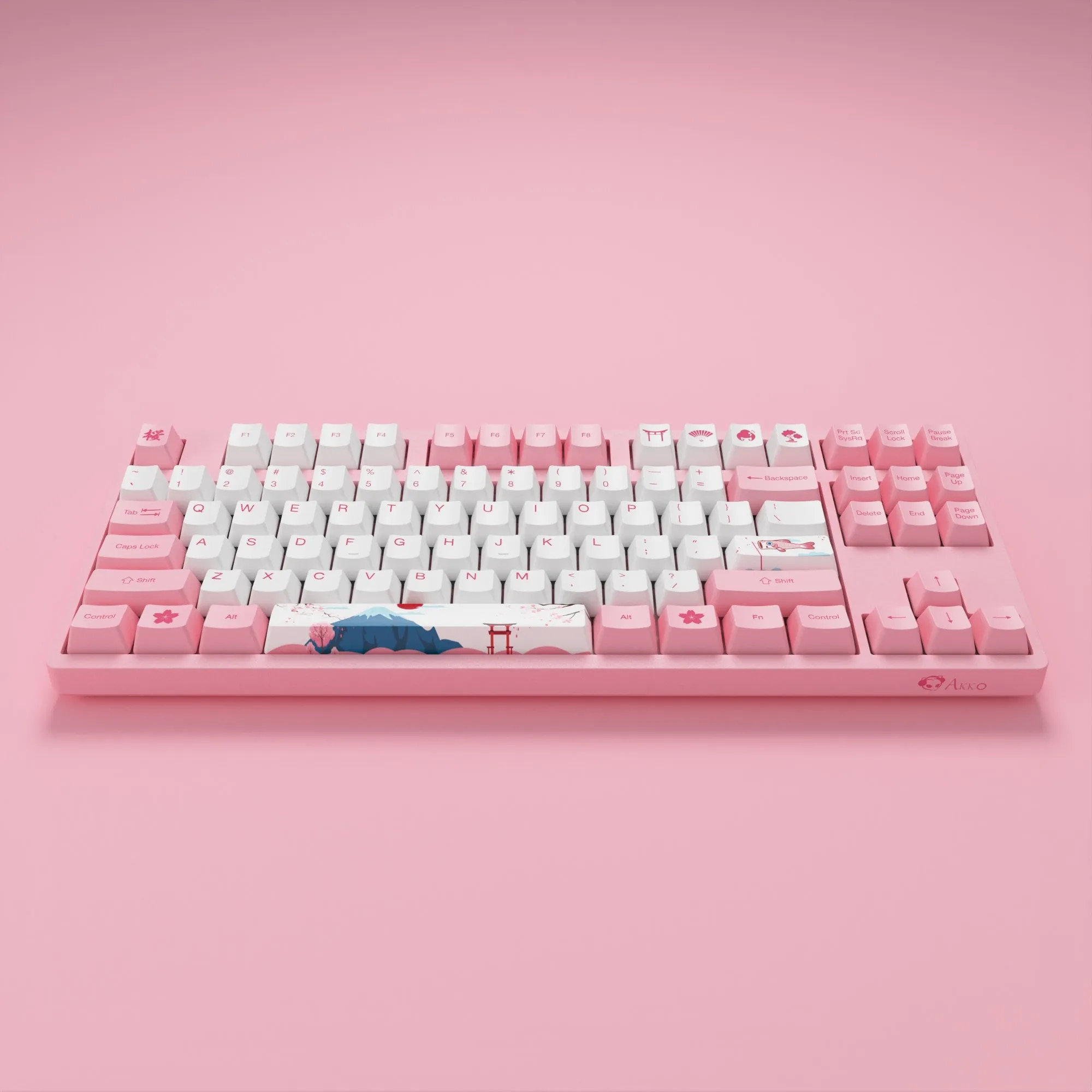 Akko 3087 V2 World Tour-Tokyo Mechanical Gaming Keyboard Wired TKL 87-Key with OEM Profile PBT Dye-Sub Keycaps N-key Rollover. 