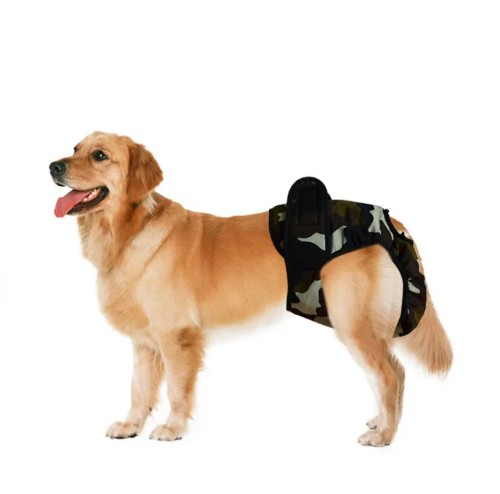【FusionFolio】 Dog Leg Support Brace For Injury Recover Hock Joint Wrap Breathable Dog Legs Protector Rear Leg Knee Brace Protect Wounds