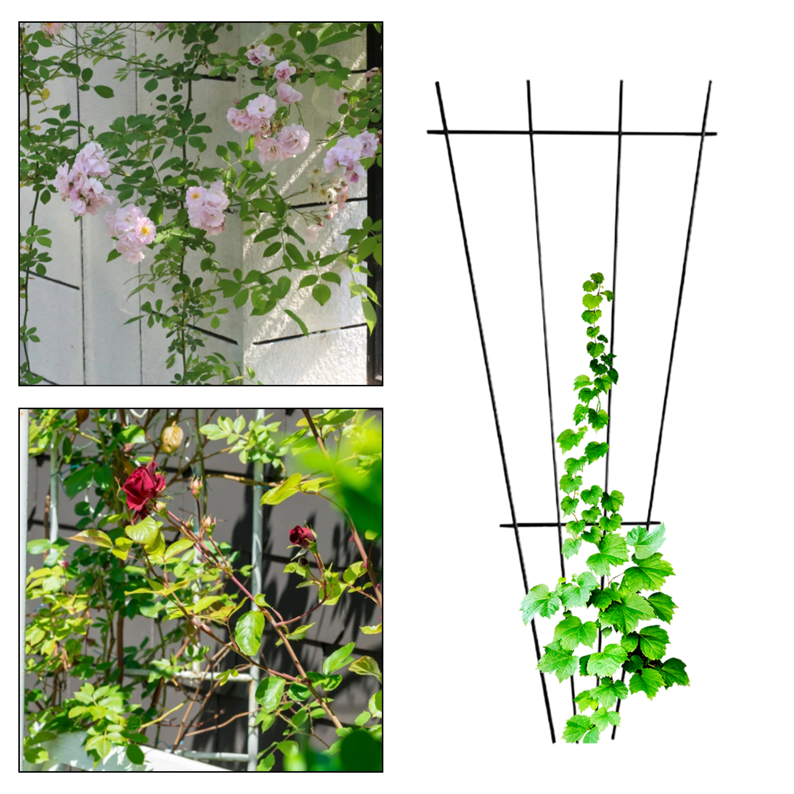 Support Ring Sle Sle Structure Multi-use Stake. 