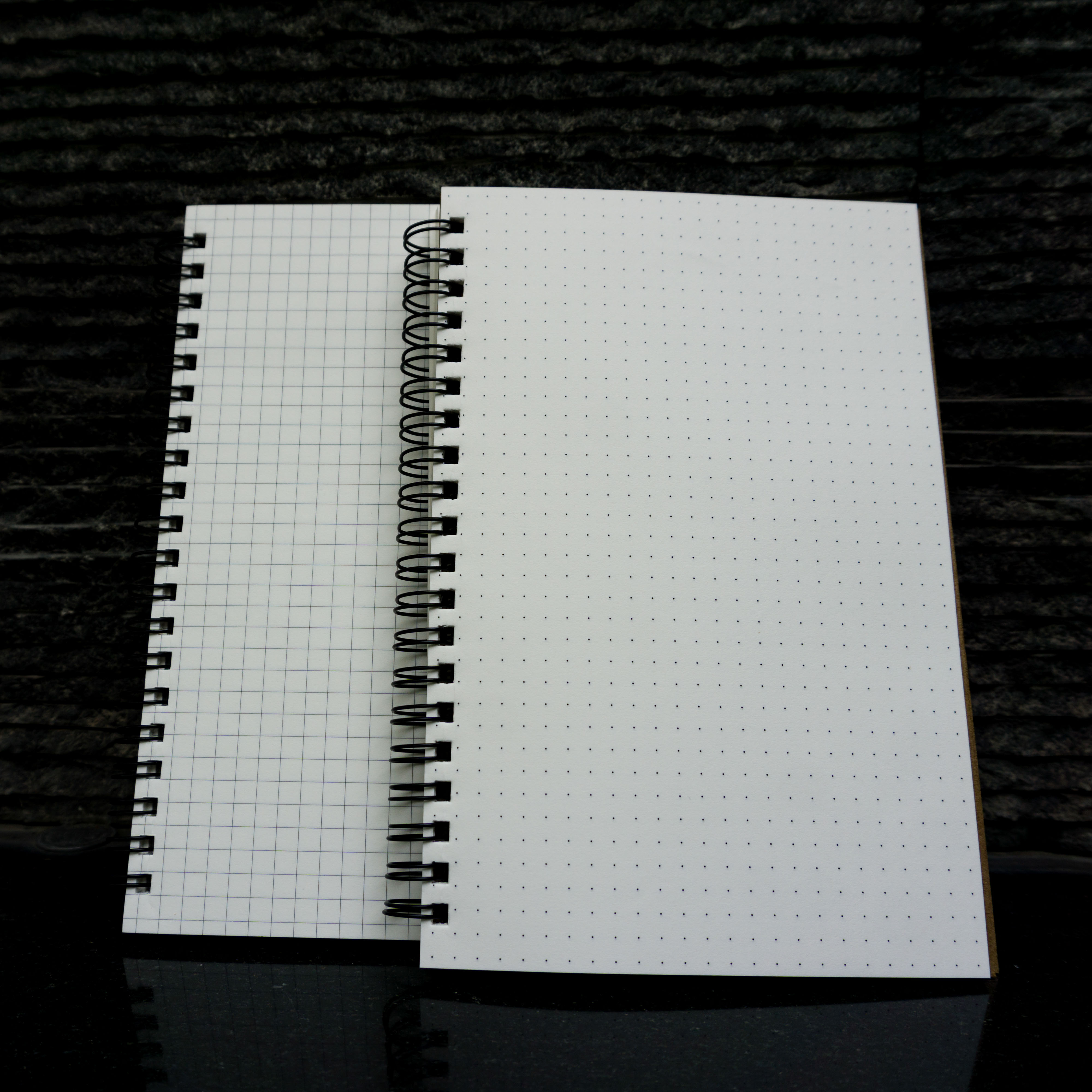 Designer Series Dot-Grid & Graph/Grid Notebook 2-Pack. 