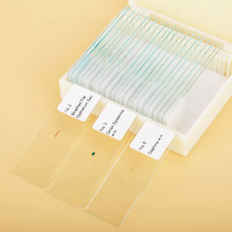 25pcs Biology Glass Prepared Microscope Slides Lab Specimens With Box DH. 