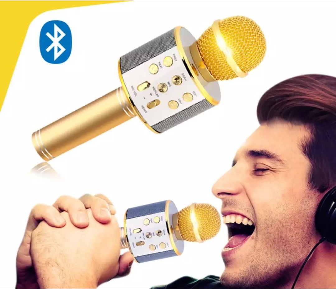 WSTER WS-858 Wireless Microphone and Hifi Speaker | Daraz.com.bd