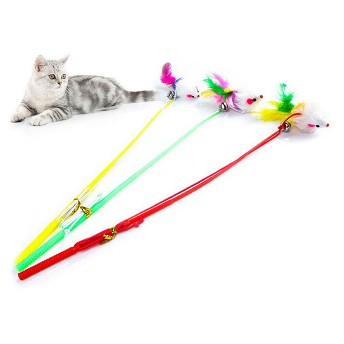 Cat Supplies Store Buy Cat Supplies In Bangladesh