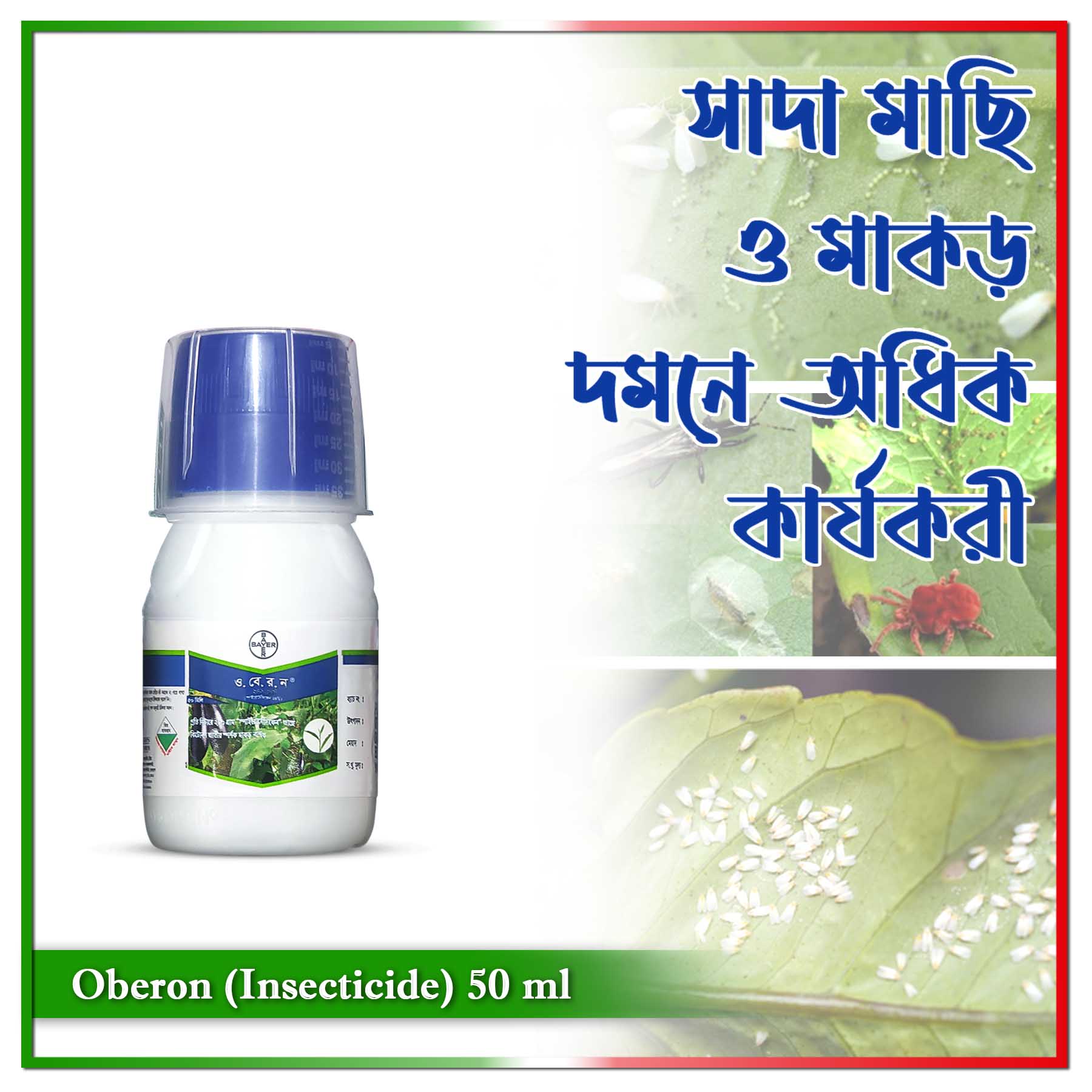 Oberon 240 SC (Spiromesifen 24%) কিটনাশক - 50 ml