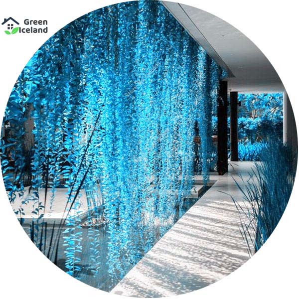 Natural Blue Pearl Chlorophytum Bonsai Seeds 10 Pcs Seeds Buy Online At Best Prices In Bangladesh Daraz Com Bd