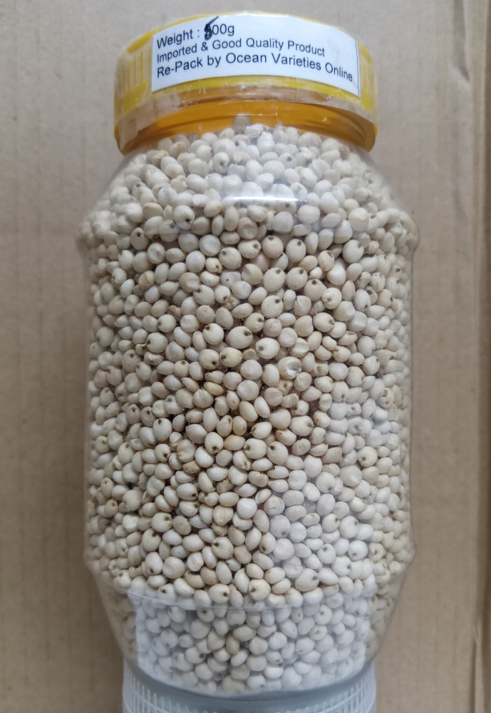 Suchy Moti ubicaciondepersonas.cdmx.gob.mx