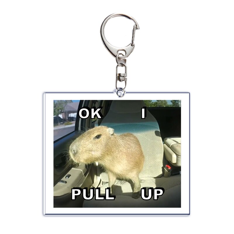 Fun Capybara Acrylic Keychain This Man Ate My Son Ok I Pull Up Letter Double Sided Key Chain Key Ring Keychains for Friends Gift. 