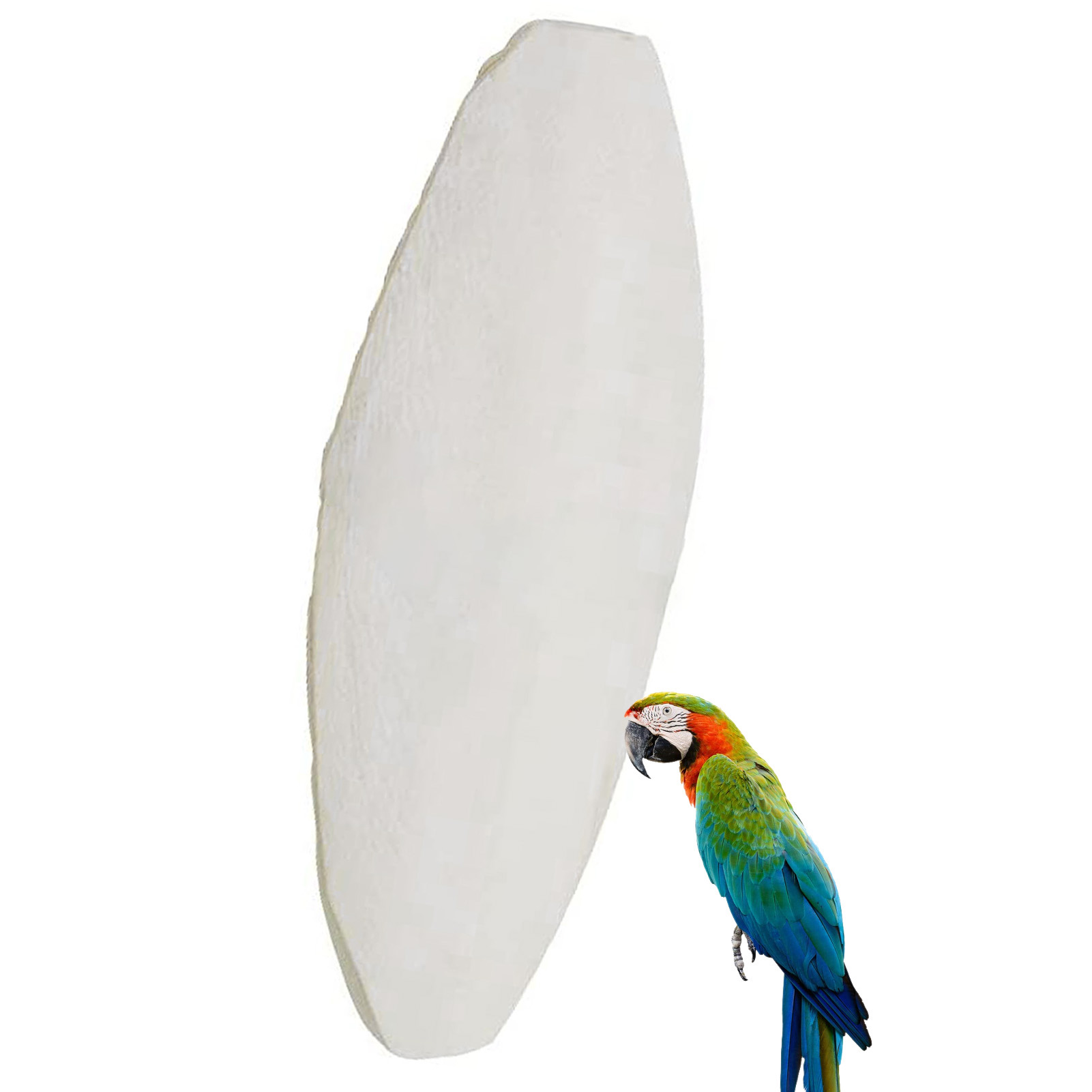 Cuttlefish bone for birds(Cuttlefish Bird Food)-50 gm. 