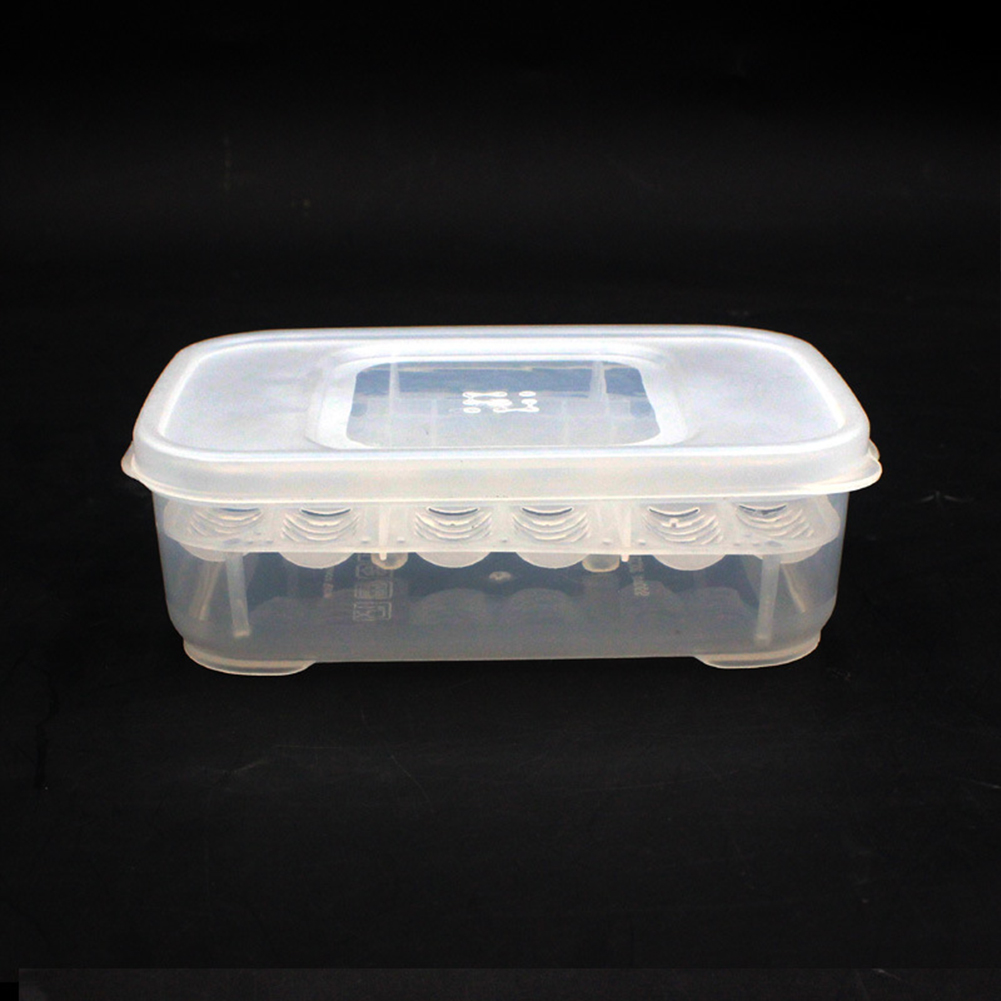 12 Compartments Hatching Eggs Device Snake Lizard Reptile Transparent Hatch Box Incubator Supplies. 