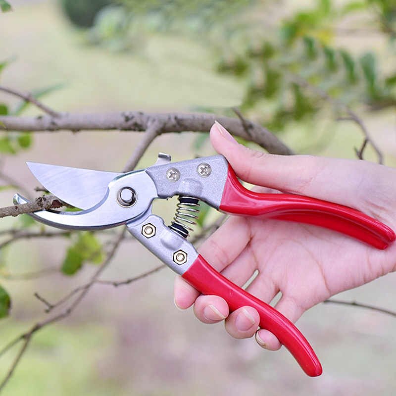 Plants Cutter Scissors Bonsai Professional Grafting Steel Garden ...