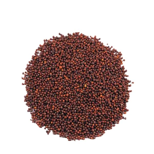 Mustard Seeds/ Sorisa/ Sorisha Dana (Red)- 200 gm