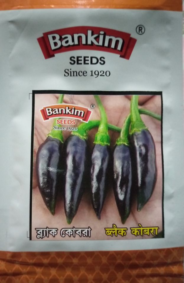 Porno fotosuratlaringizni qaerga joylashtirishingiz mumkin