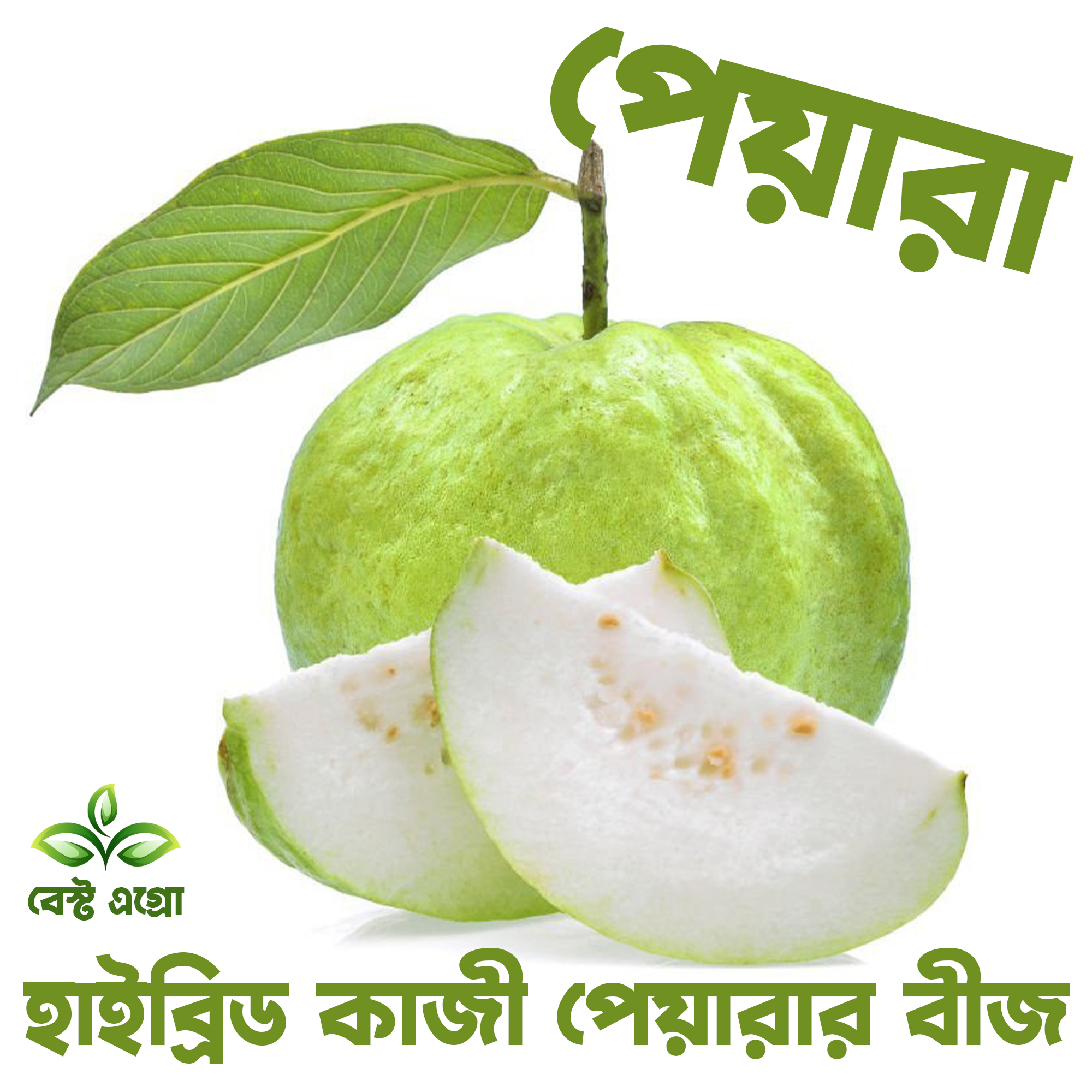 Highly Vital - Refined Taste - Hybrid Guava (pear) Fruit Seeds - 8 Pieces - Tools, DIY & Outdoor - Fun To Have - Modern and Trendy