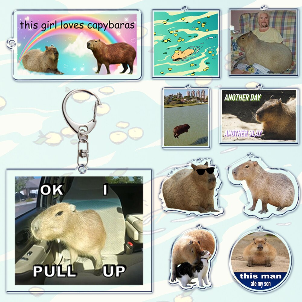 Fun Capybara Acrylic Keychain This Man Ate My Son Ok I Pull Up Letter Double Sided Key Chain Key Ring Keychains for Friends Gift. 