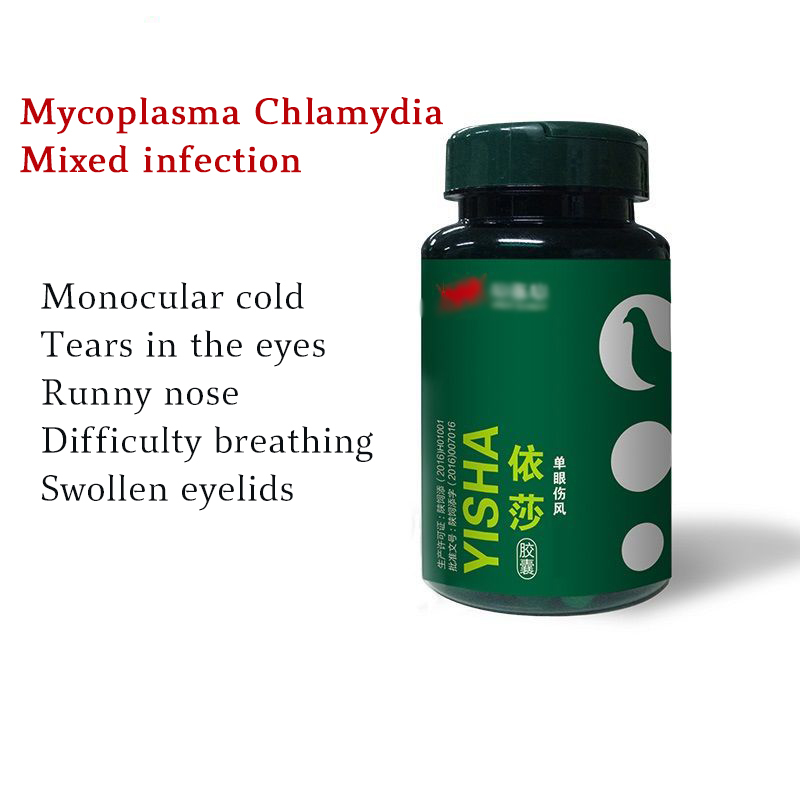 Pigeon single eye cold eyes tearing mucus running eyes red and swollen pigeon chlamydia 60 capsules. 