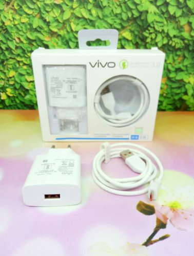 VIVO 18W Fast Charger EU US Power Adapter Type C Cable For VIVO Y17S Y21 Y33s V17 S1 Pro Y16 Y30 Y22 Y27 5G Y50 Y52 Y52S G2 Y53S. 