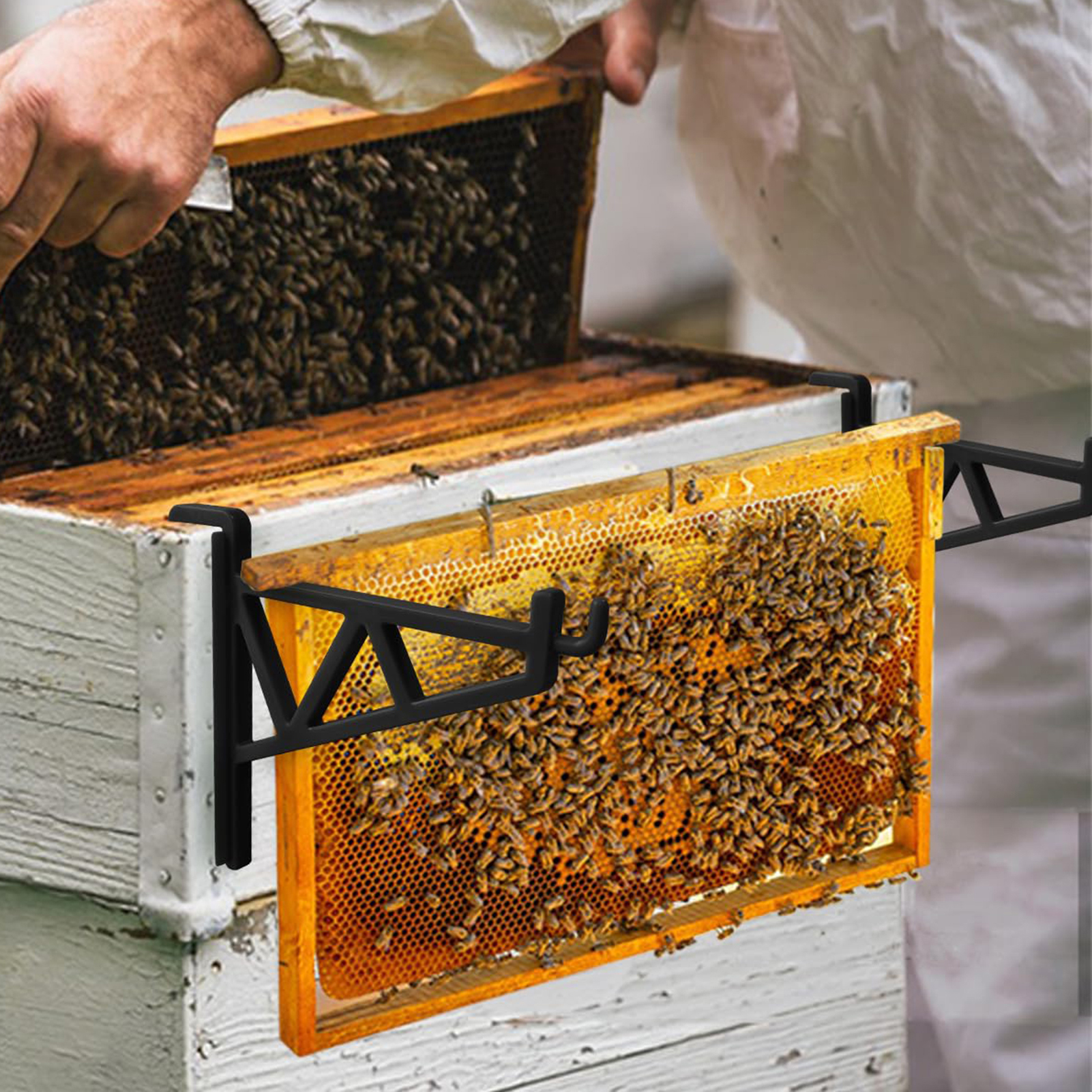 Quasar rle Bee Rk Brket Sturdy Plastic Beehive Frame Holder for Beekeeping Sup rt Rk Essential Apiarist Tool for Hive Maintenance Lightweight Bee Rk. 