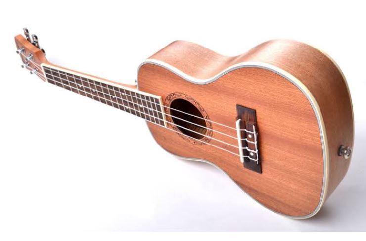 Strong Wind Soprano 24" Ukulele for Beginners. 