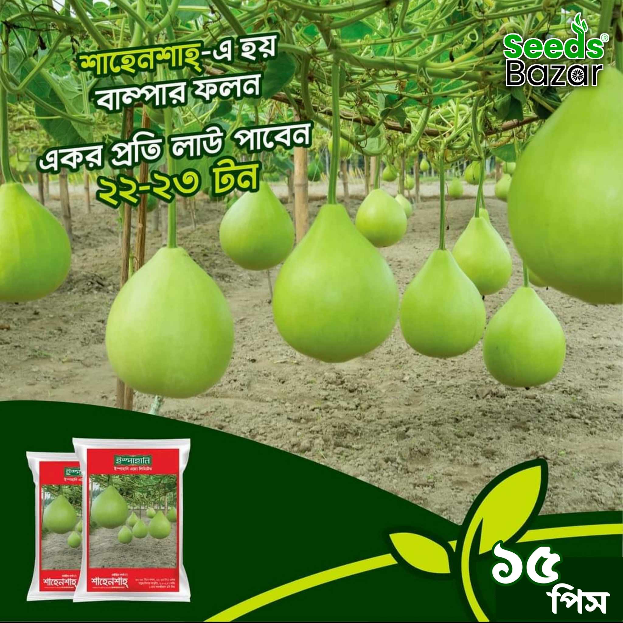 15 Pices Round Gourd Seeds + Gift (All Season Seeds) Hybrid Seeds