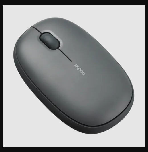 Rapoo M650 (2 Years Official Warranty)  Multi-mode Wireless Optical Mouse