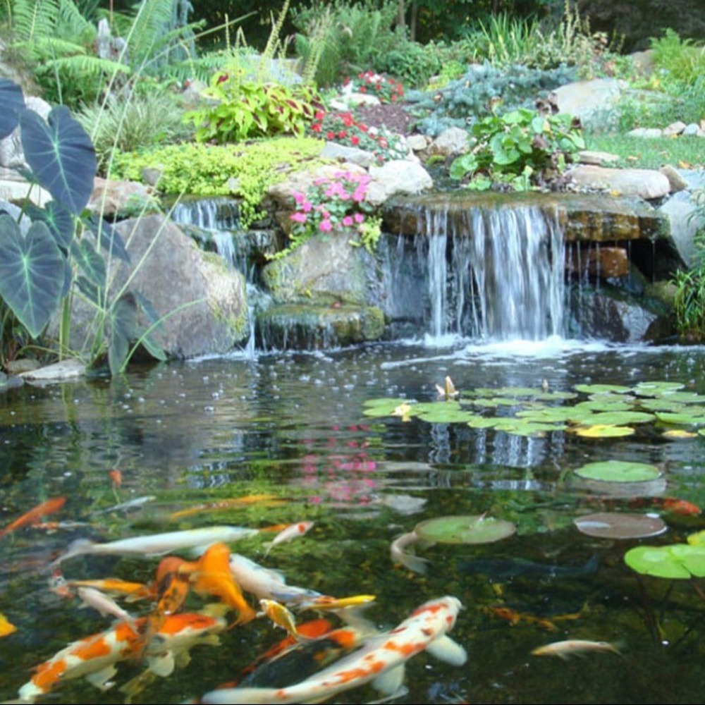 10pcs/set 2023 Protector Pond Guard Netting Hexagon Floating Heron Deterrent Pond Protection Net Birds Invisible Plastic Pool Fish Net Pond. 