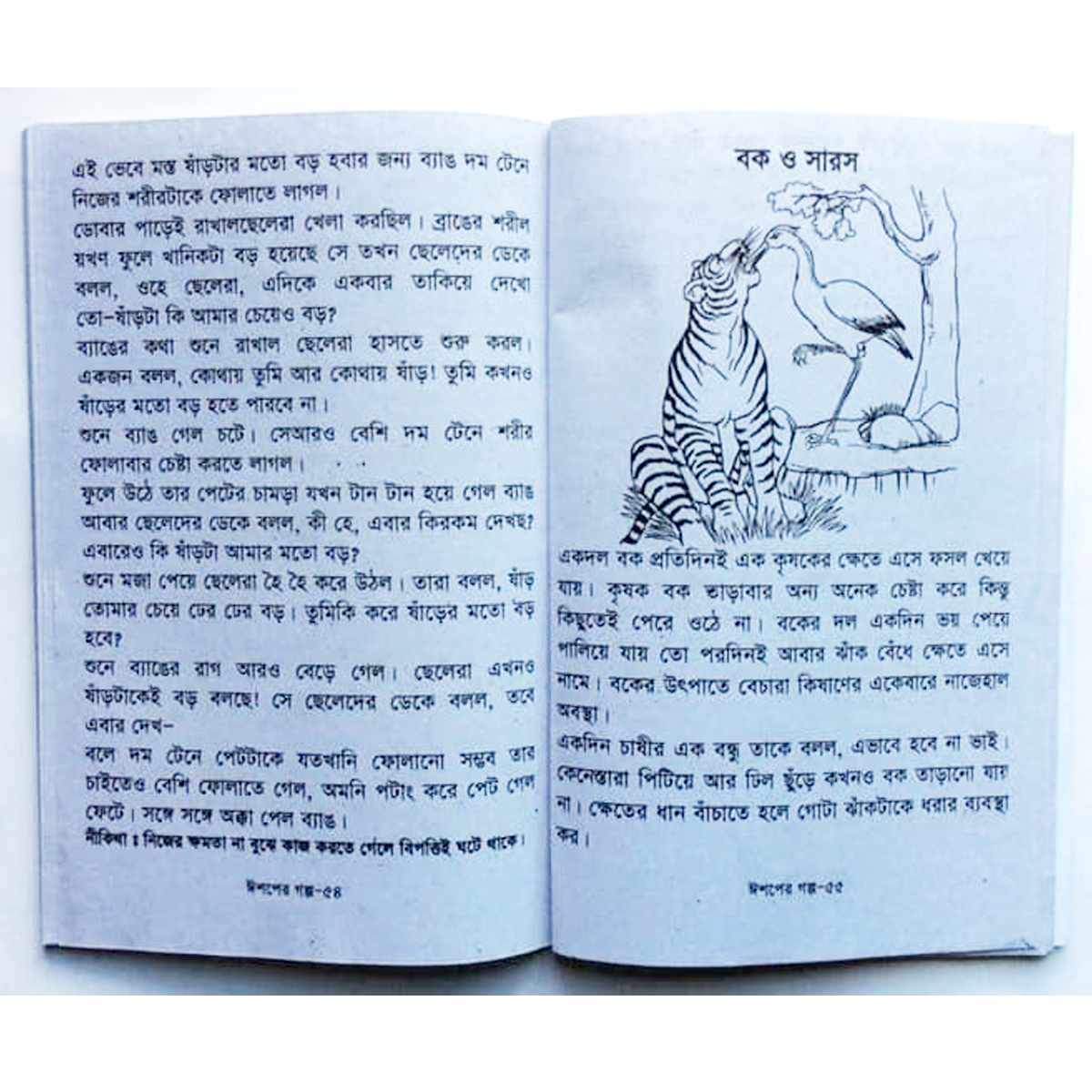 Story Book of Aesop's Fables Tagore Kids Learning for Baby Baccader Golper boi Children Education First General Knowledge. 