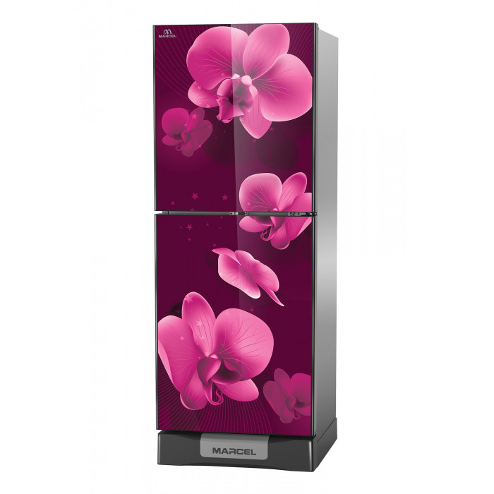 Marcel MFB-B5D-GDXX-XX Refrigerator 268 Ltr. 