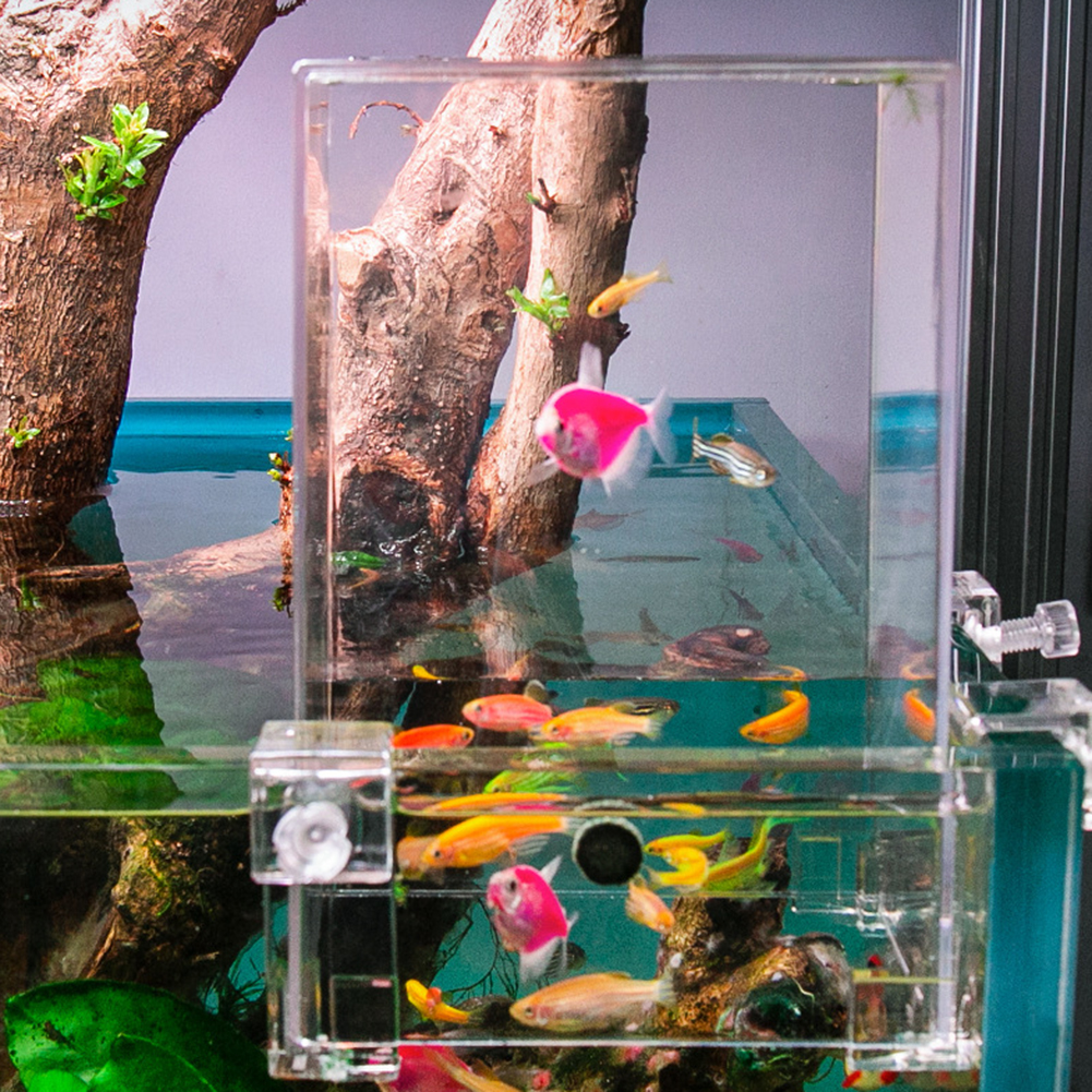 Acrylic Fish Tower Aerial Extender Fish Tank For Ecological Landscaping Convenient Observation Viewing Area Increase Bigger Space. 