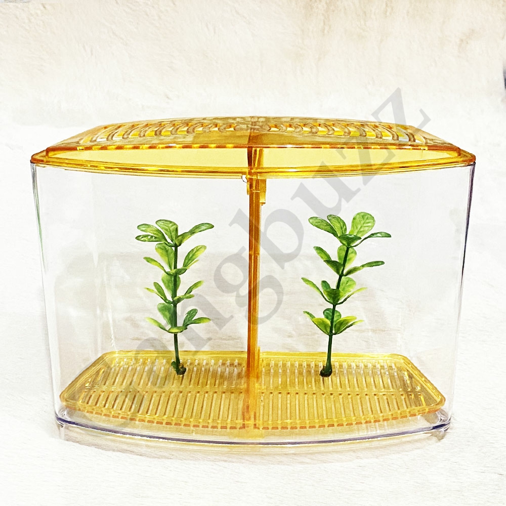 Taiyo Desktop Double Betta Fish Tank - Dual Compartments, Hexagon Shaped, 1.3 Liter, High-Quality Plastic Desktop Fighter/Betta Aquarium Tank. 