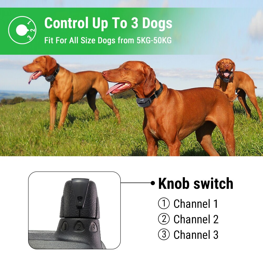 Ipets 618-1 800m remote rechargeable and waterproof for s  training collar. 
