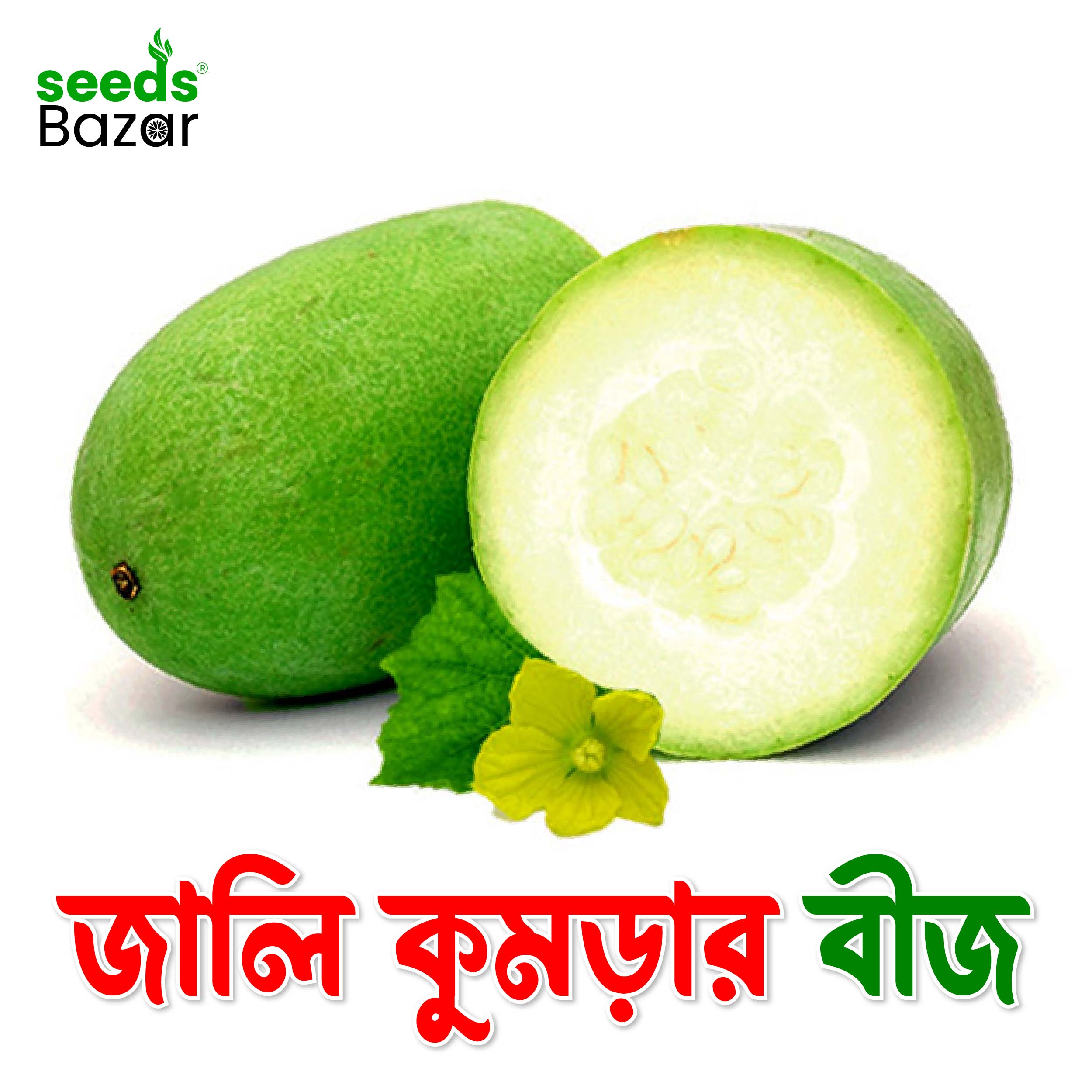 All Season Jali Pumpkin Seeds 40 pice + gift