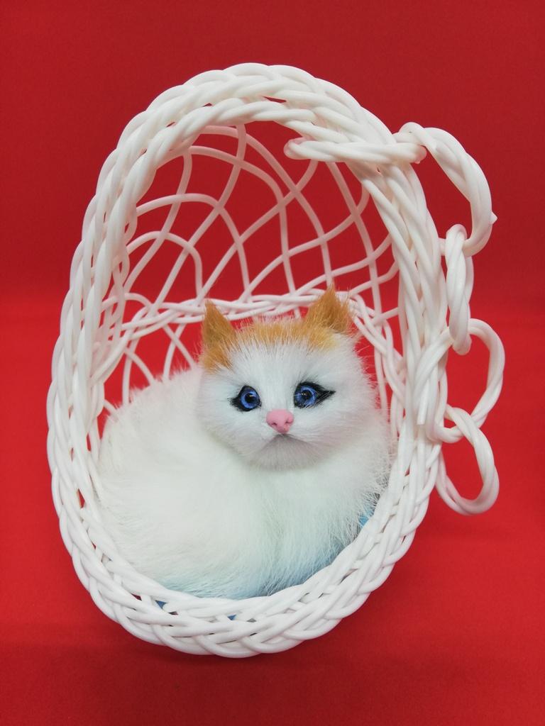 Basket Cat with Sound. 