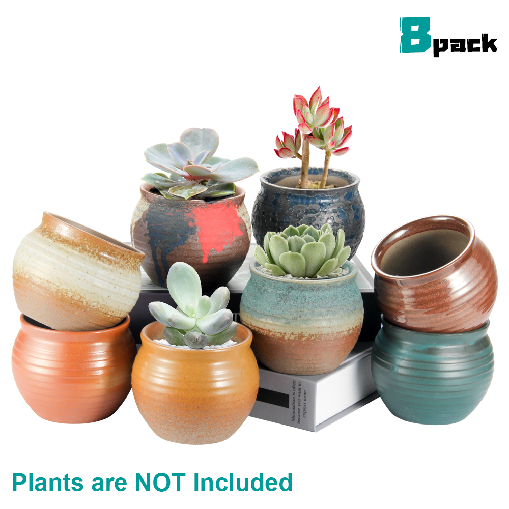 1pcs Mini Planter チープ