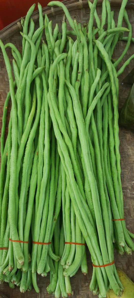 Progressive - Hybrid Yardlong bean (Borboti) seeds 1 intake packet (05 gram) - Tools, DIY & Outdoor - Modern and Trendy- Vibes. 