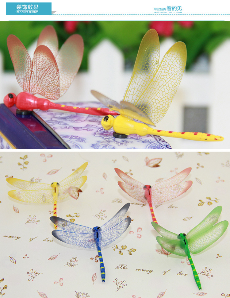 Butterfly 1_05.jpg