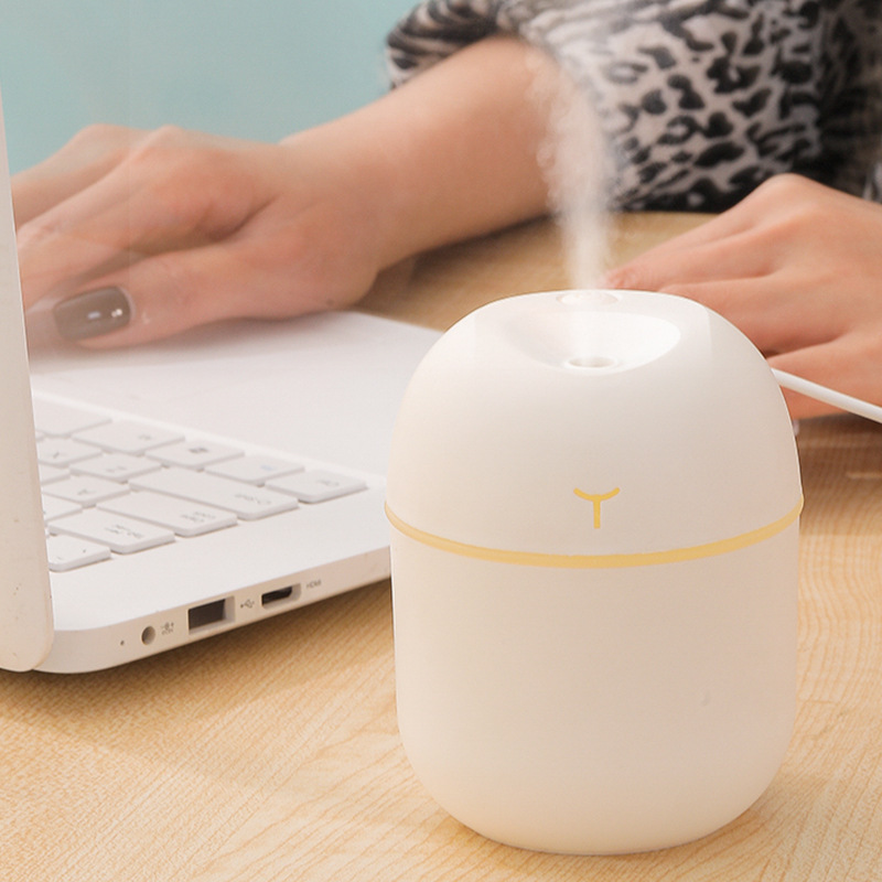 Large Air Diffuser USB Portable Egg Humidifier: Freshen Your Space with Minimal Maintenance- a Unique Choice For Your Needs