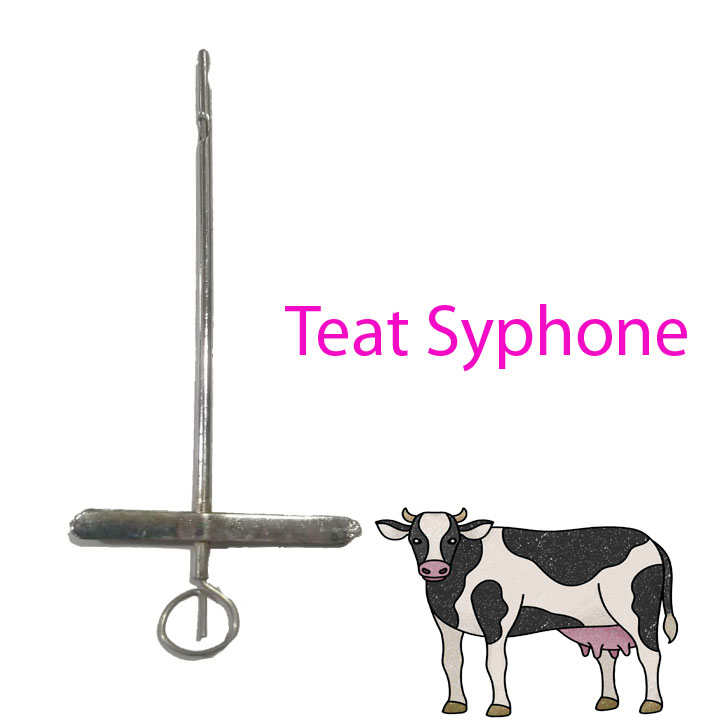 Teat siphon for veterinary use (Milk Siphon)