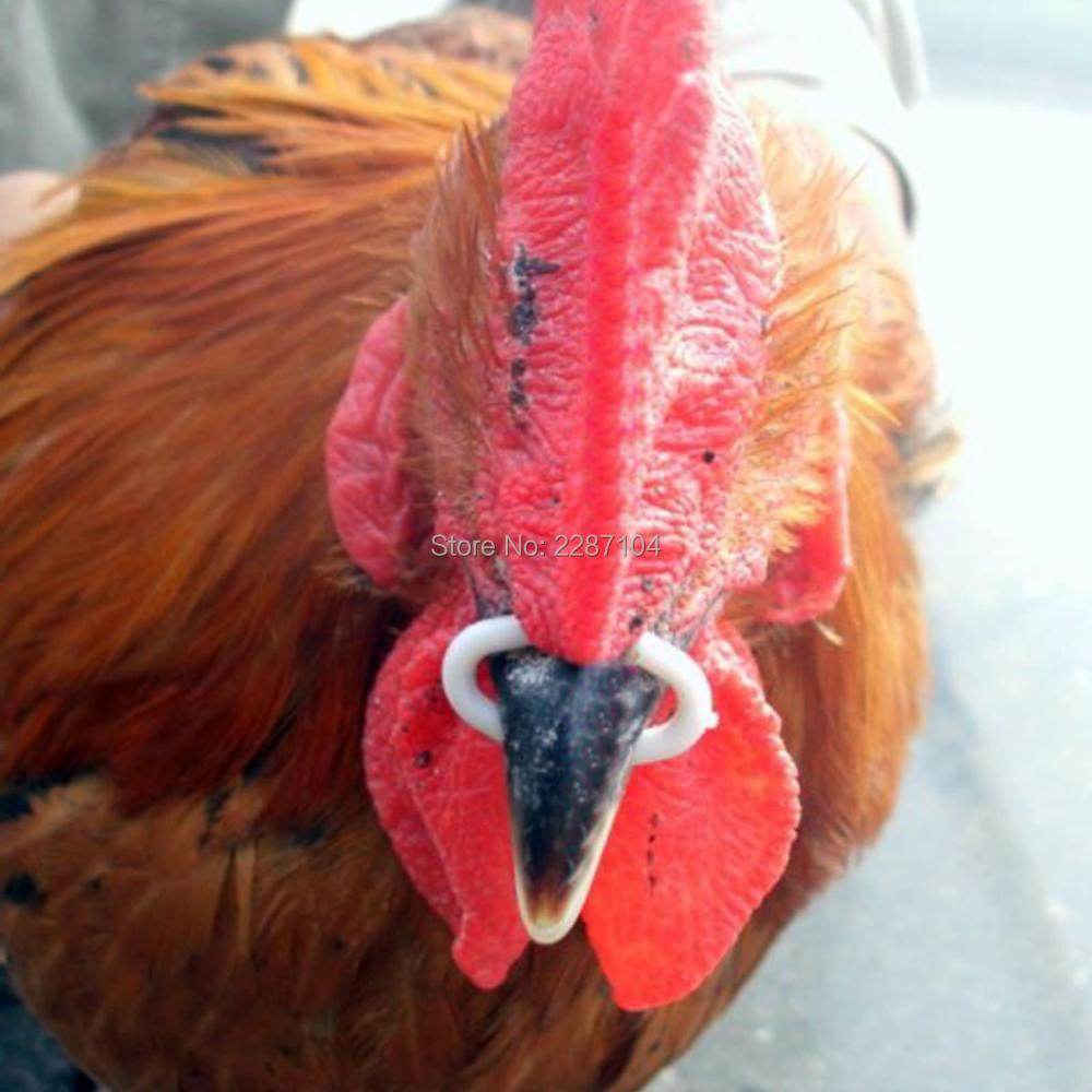 50pcs S M L size Chicken Beak Clasp Fasan Mouth Snap Ring Replace Peepers Eye Glasses Blinders Spectacles Anti-pecking Feed. 