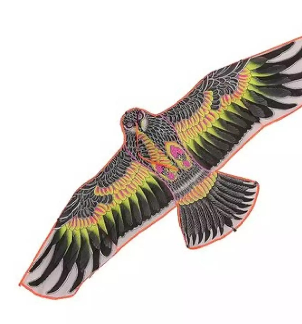 Eagle Kite/eagle ghuri Premium Quality Long Lasting Multicolor Small Size 48"/4 Feet-1 Piece. 