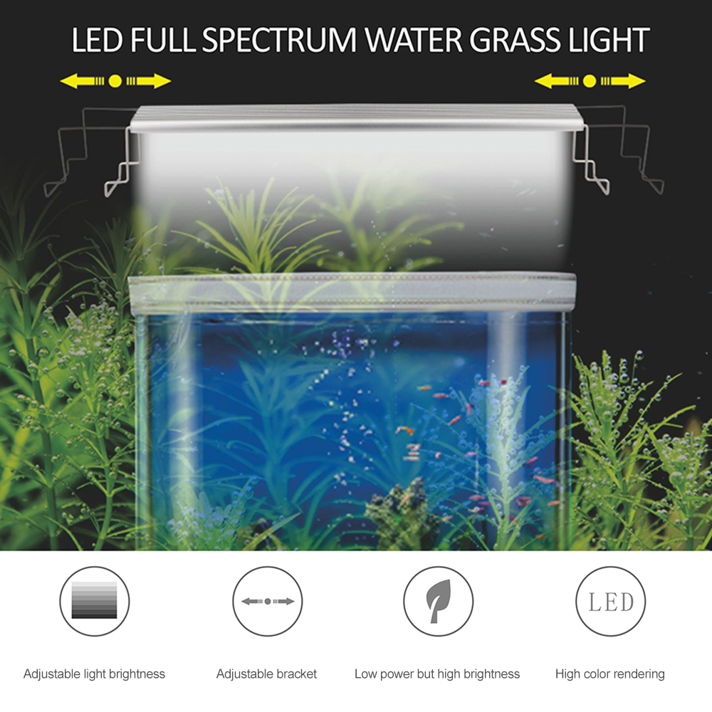 Aquarium light price sale