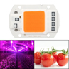 50W Full Spectrum LED COB Chip Grow Light Growth Lamp Garden Hydroponic. 